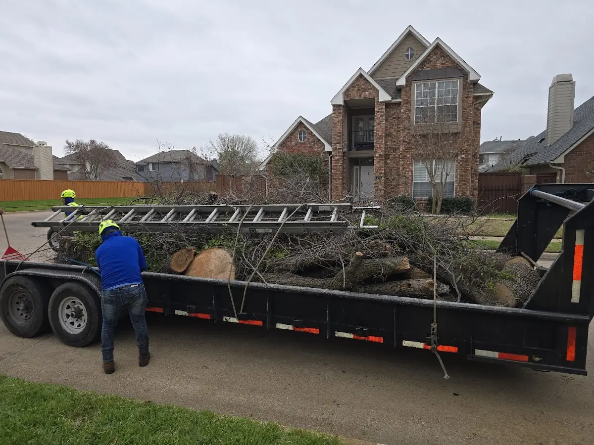 Expert Tree Removal with proper safety equipment in Harveyville